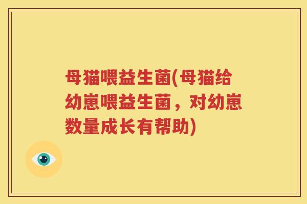 母猫喂益生菌(母猫给幼崽喂益生菌，对幼崽数量成长有帮助)
