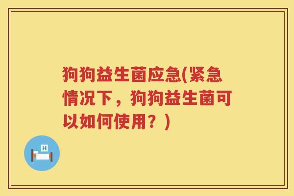 狗狗益生菌应急(紧急情况下，狗狗益生菌可以如何使用？)