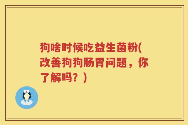 狗啥时候吃益生菌粉(改善狗狗肠胃问题，你了解吗？)