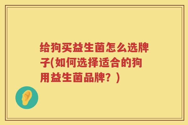 给狗买益生菌怎么选牌子(如何选择适合的狗用益生菌品牌？)