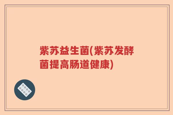 紫苏益生菌(紫苏发酵菌提高肠道健康)