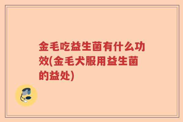 金毛吃益生菌有什么功效(金毛犬服用益生菌的益处)