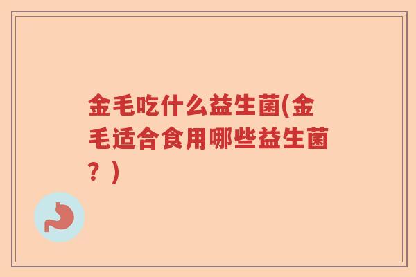 金毛吃什么益生菌(金毛适合食用哪些益生菌？)