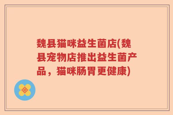 魏县猫咪益生菌店(魏县宠物店推出益生菌产品，猫咪肠胃更健康)