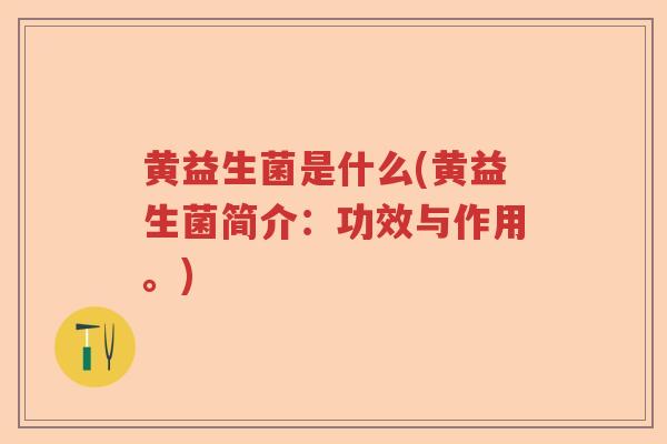 黄益生菌是什么(黄益生菌简介：功效与作用。)