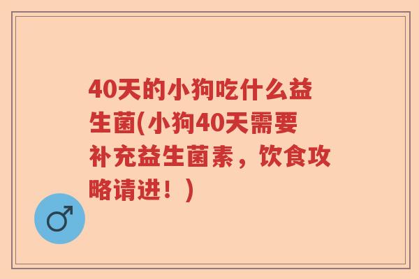 40天的小狗吃什么益生菌(小狗40天需要补充益生菌素，饮食攻略请进！)