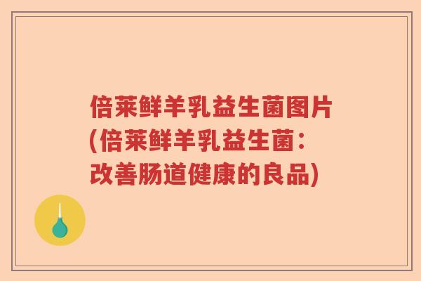 倍莱鲜羊乳益生菌图片(倍莱鲜羊乳益生菌：改善肠道健康的良品)