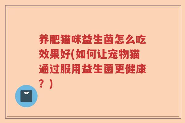 养肥猫咪益生菌怎么吃效果好(如何让宠物猫通过服用益生菌更健康？)