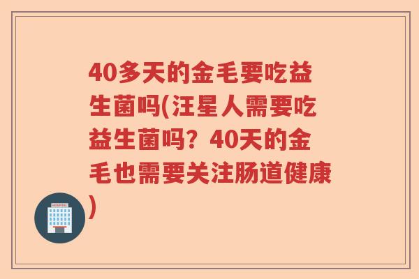 40多天的金毛要吃益生菌吗(汪星人需要吃益生菌吗？40天的金毛也需要关注肠道健康)