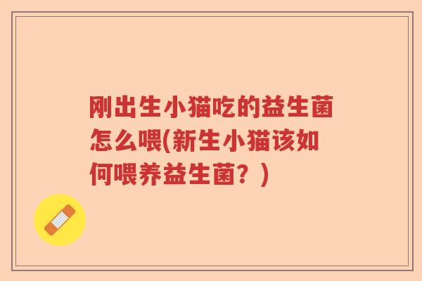 刚出生小猫吃的益生菌怎么喂(新生小猫该如何喂养益生菌？)