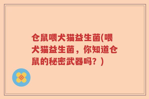 仓鼠喂犬猫益生菌(喂犬猫益生菌，你知道仓鼠的秘密武器吗？)