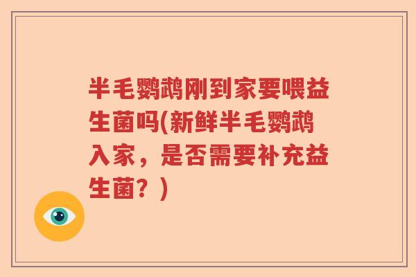 半毛鹦鹉刚到家要喂益生菌吗(新鲜半毛鹦鹉入家，是否需要补充益生菌？)