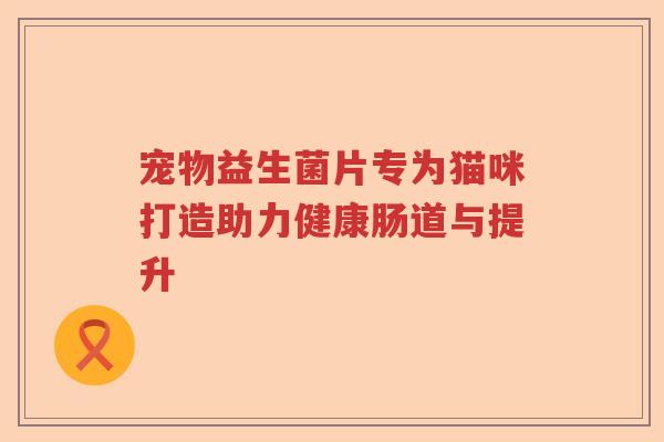 宠物益生菌片专为猫咪打造助力健康肠道与提升