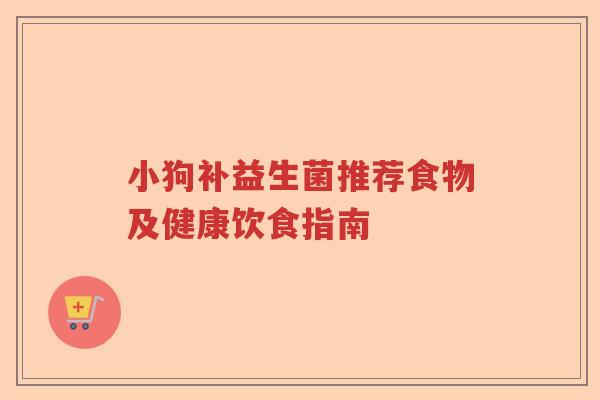 小狗补益生菌推荐食物及健康饮食指南