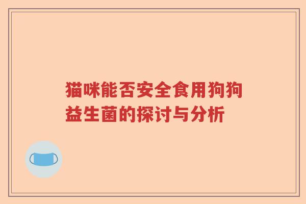 猫咪能否安全食用狗狗益生菌的探讨与分析
