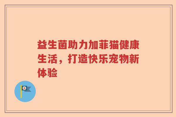 益生菌助力加菲猫健康生活，打造快乐宠物新体验