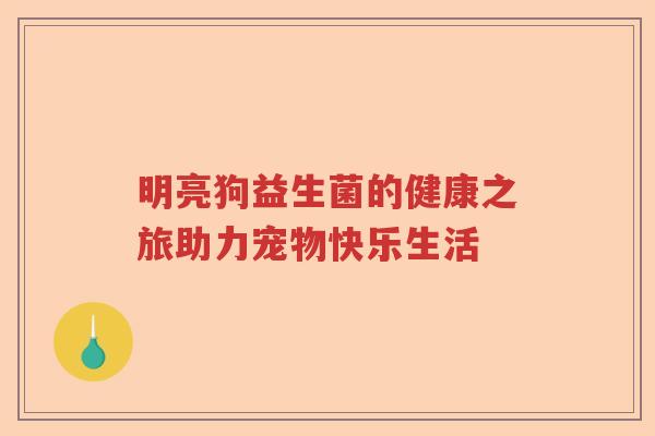 明亮狗益生菌的健康之旅助力宠物快乐生活