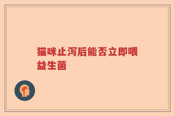 猫咪止泻后能否立即喂益生菌