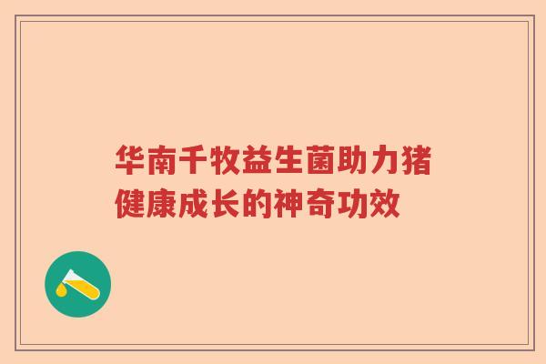 华南千牧益生菌助力猪健康成长的神奇功效