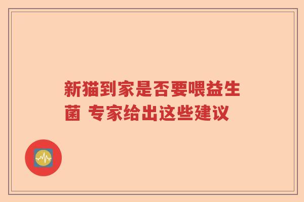 新猫到家是否要喂益生菌 专家给出这些建议
