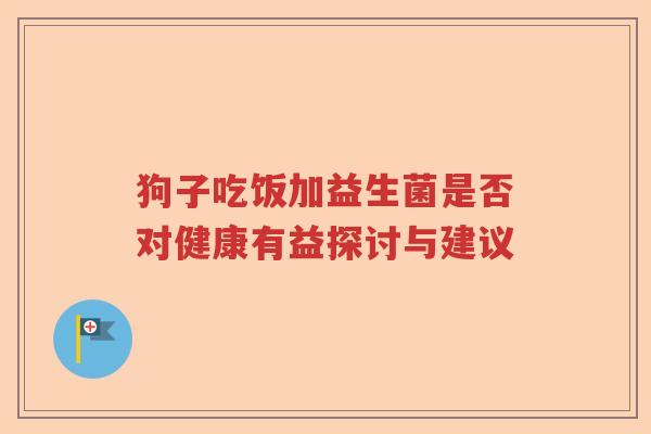 狗子吃饭加益生菌是否对健康有益探讨与建议