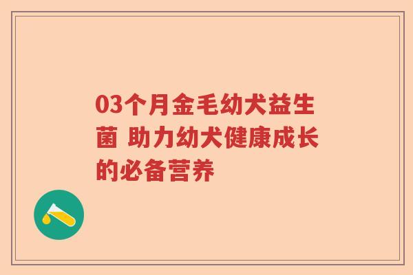03个月金毛幼犬益生菌 助力幼犬健康成长的必备营养