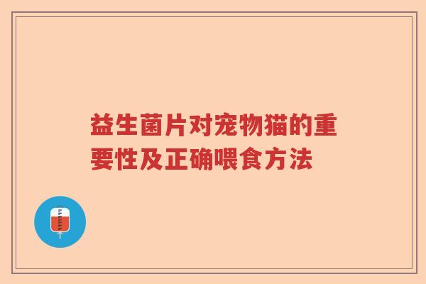 益生菌片对宠物猫的重要性及正确喂食方法