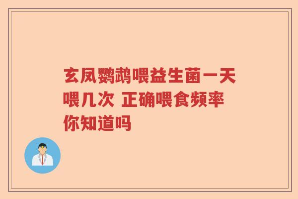 玄凤鹦鹉喂益生菌一天喂几次 正确喂食频率你知道吗