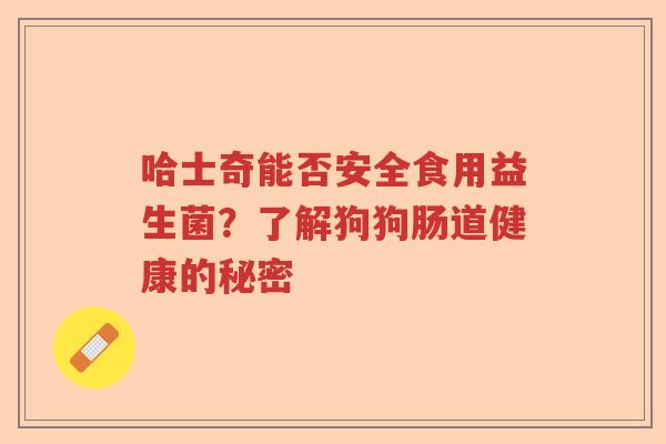哈士奇能否安全食用益生菌？了解狗狗肠道健康的秘密