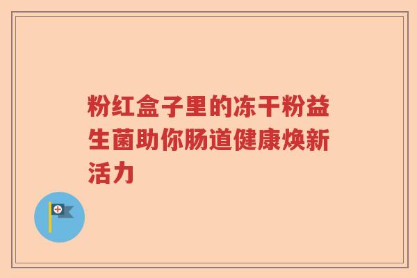 粉红盒子里的冻干粉益生菌助你肠道健康焕新活力