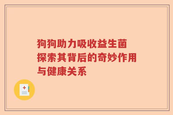 狗狗助力吸收益生菌 探索其背后的奇妙作用与健康关系