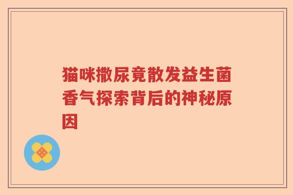 猫咪撒尿竟散发益生菌香气探索背后的神秘原因