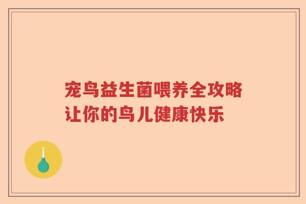 宠鸟益生菌喂养全攻略让你的鸟儿健康快乐