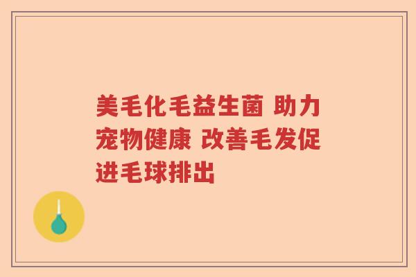 美毛化毛益生菌 助力宠物健康 改善毛发促进毛球排出