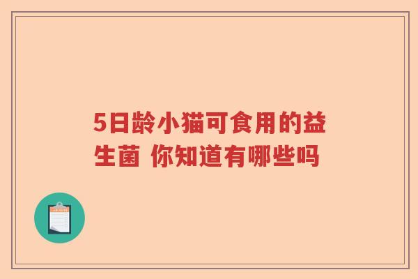 5日龄小猫可食用的益生菌 你知道有哪些吗