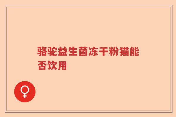 骆驼益生菌冻干粉猫能否饮用