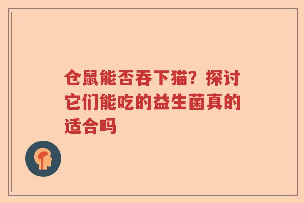 仓鼠能否吞下猫？探讨它们能吃的益生菌真的适合吗