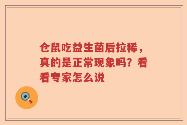 仓鼠吃益生菌后拉稀，真的是正常现象吗？看看专家怎么说