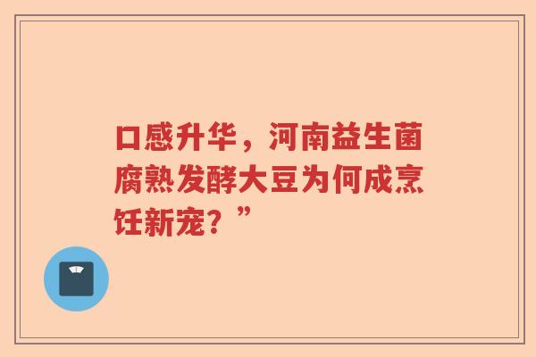 口感升华，河南益生菌腐熟发酵大豆为何成烹饪新宠？”