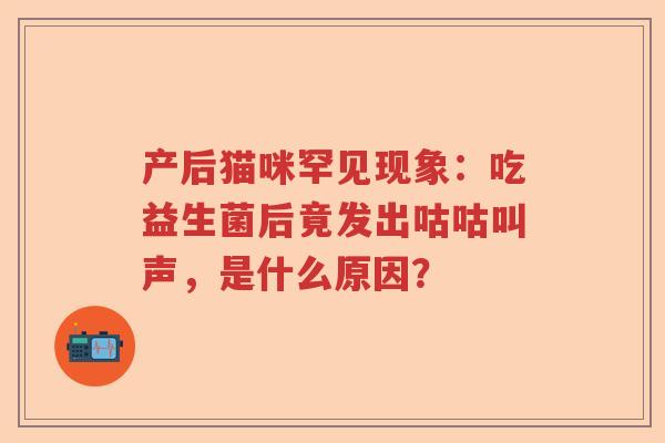 产后猫咪罕见现象：吃益生菌后竟发出咕咕叫声，是什么原因？