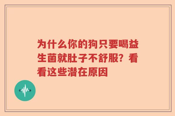 为什么你的狗只要喝益生菌就肚子不舒服？看看这些潜在原因