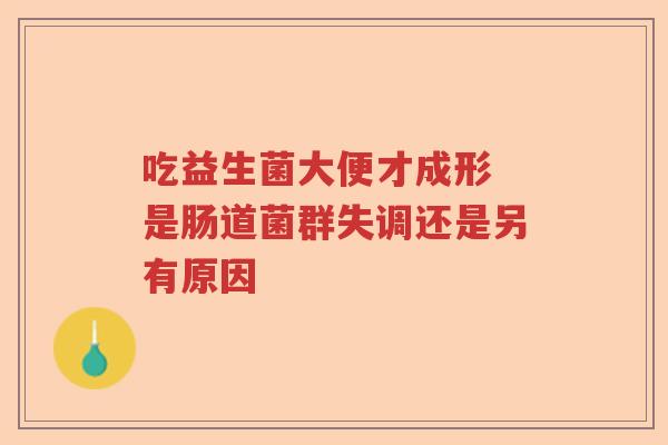 吃益生菌大便才成形 是肠道菌群失调还是另有原因