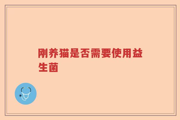 刚养猫是否需要使用益生菌
