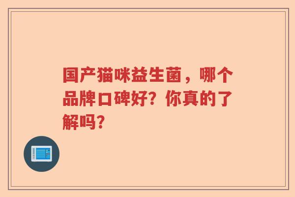 国产猫咪益生菌，哪个品牌口碑好？你真的了解吗？