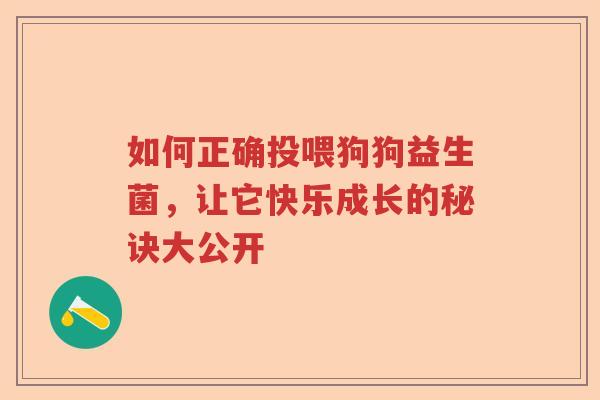 如何正确投喂狗狗益生菌，让它快乐成长的秘诀大公开