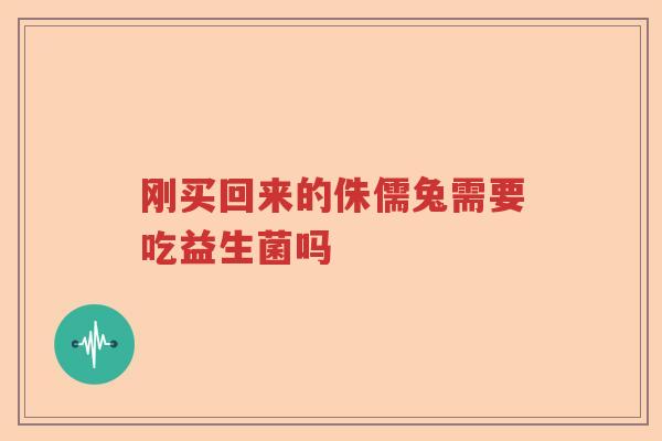 刚买回来的侏儒兔需要吃益生菌吗