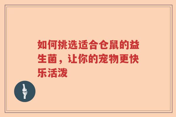 如何挑选适合仓鼠的益生菌，让你的宠物更快乐活泼