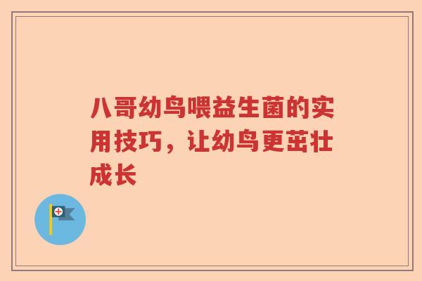 八哥幼鸟喂益生菌的实用技巧，让幼鸟更茁壮成长