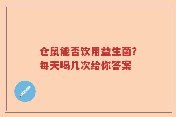 仓鼠能否饮用益生菌？每天喝几次给你答案