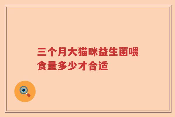 三个月大猫咪益生菌喂食量多少才合适